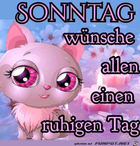 Sonntag