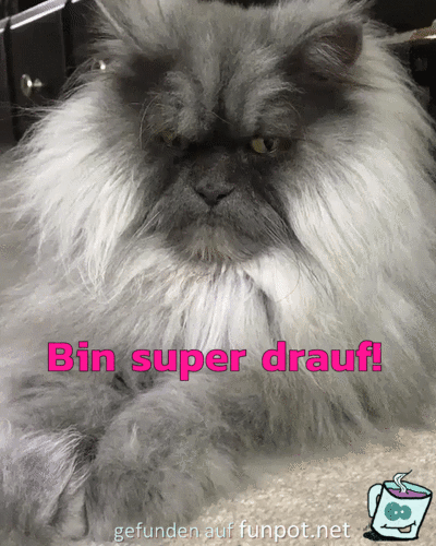 Bin super drauf Bin super drauf