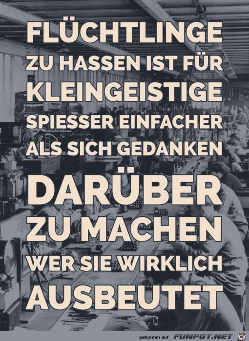 Fluechtlinge zu hassen Fluechtlinge zu hassen