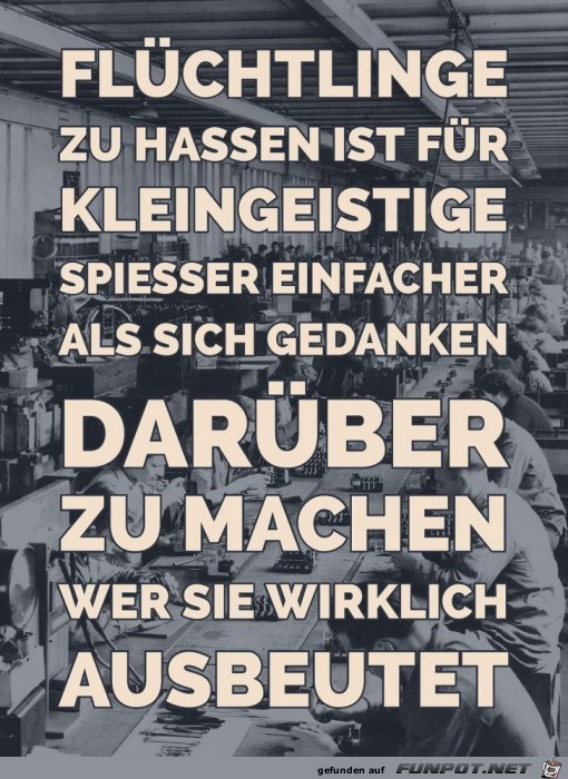 Fluechtlinge zu hassen