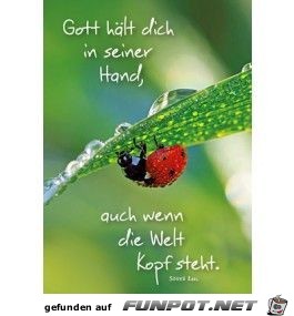 gott haelt dich gott haelt dich