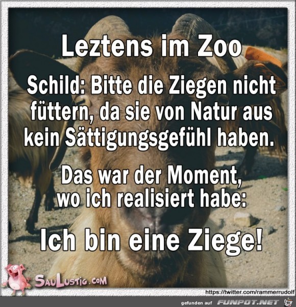 Letztens-im-Zoo