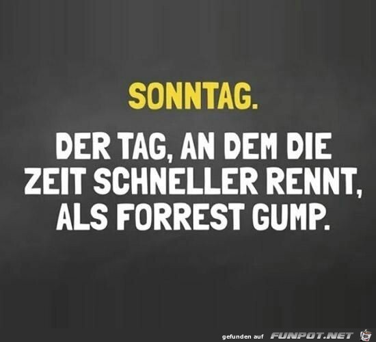 Sonntag Sonntag