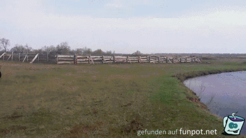 Spaß auf acht Rädern Spaß auf acht Rädern
