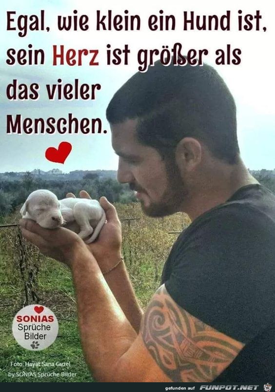 Egal wie klein dein Hund ist