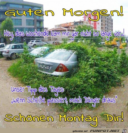 Montag Montag