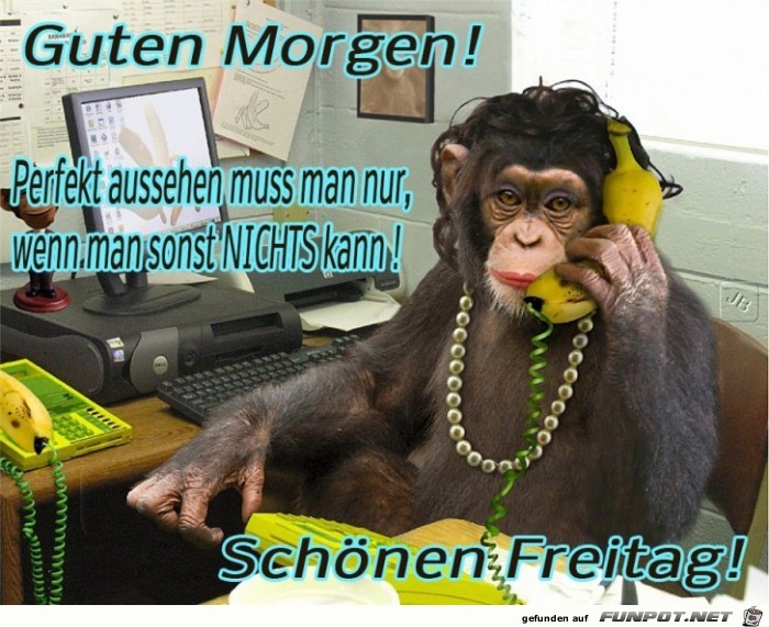 Freitag Freitag