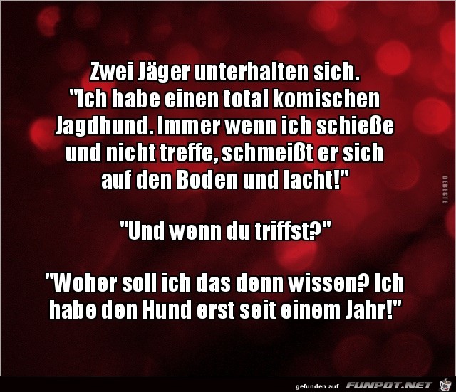 komischer Jagdhund...... komischer Jagdhund......
