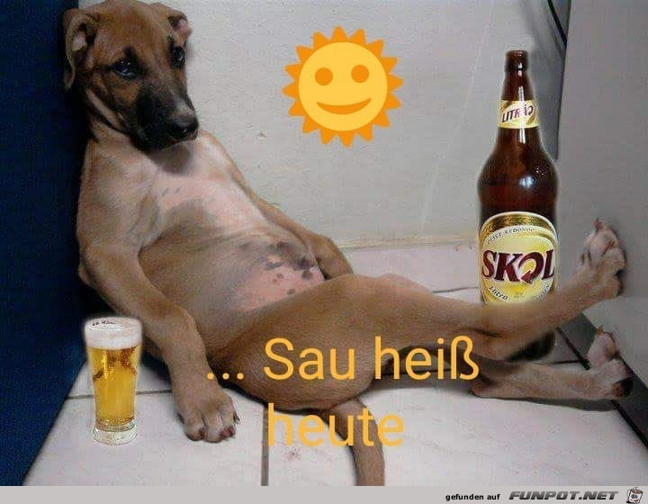 Hitze Hitze