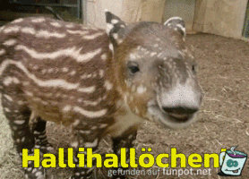 Hallihalloechen Hallihalloechen