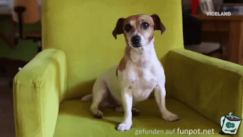 Was hoere ich da Was hoere ich da