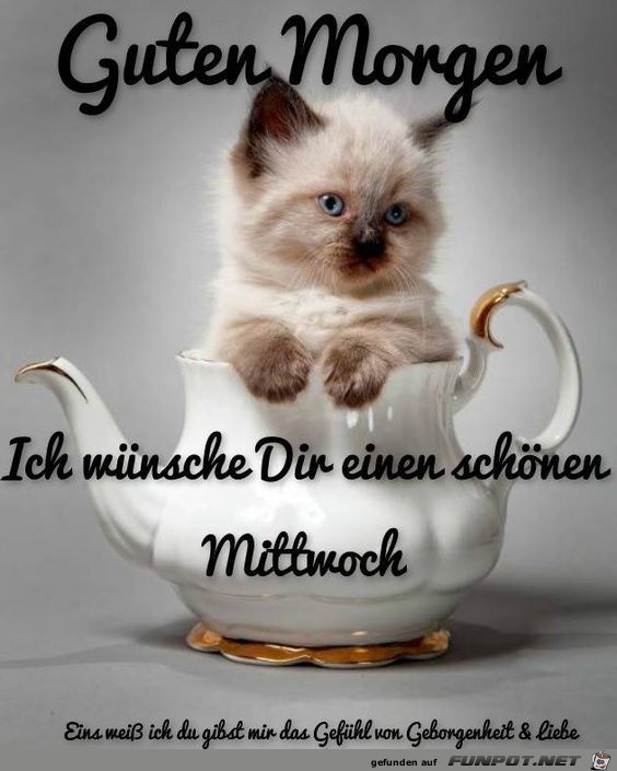 Guten Morgen