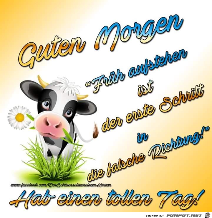 Guten Morgen--