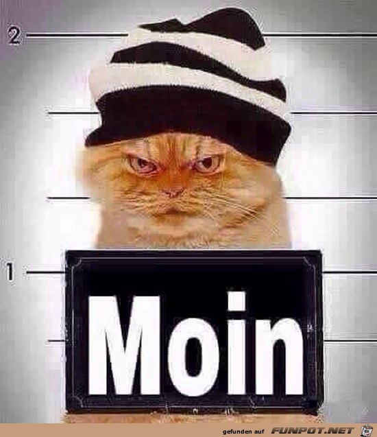 Guten Morgen Guten Morgen