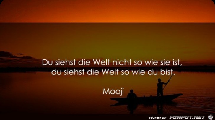 Du siehst die Welt Du siehst die Welt