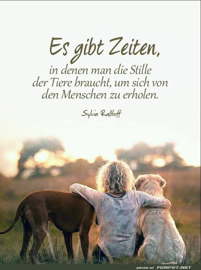 10 schne Sprche und Lebensweisheiten aus...
