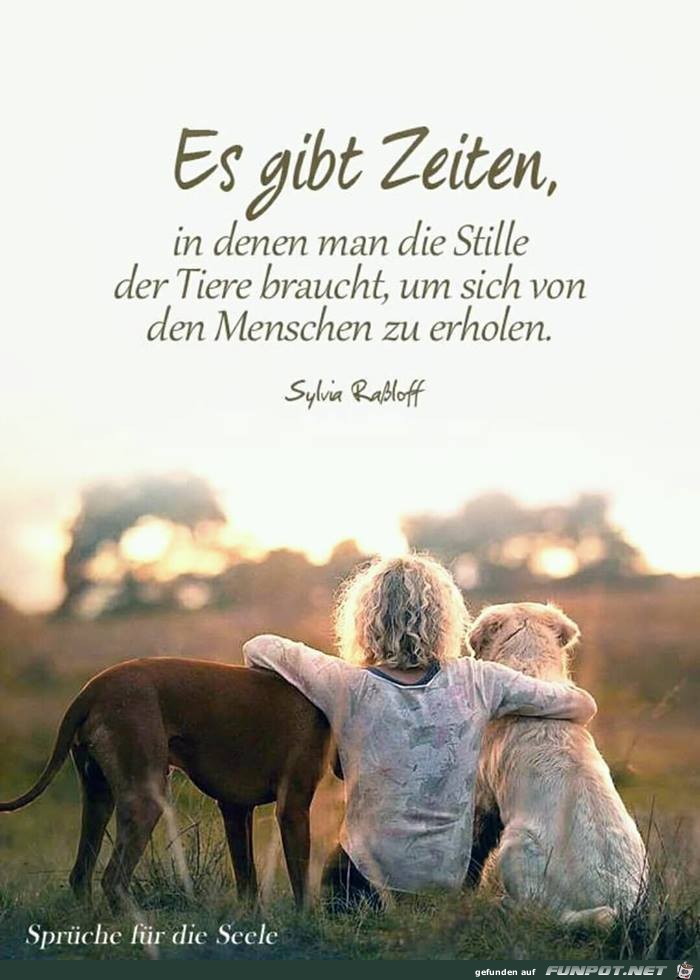 Es gibt Zeiten Es gibt Zeiten