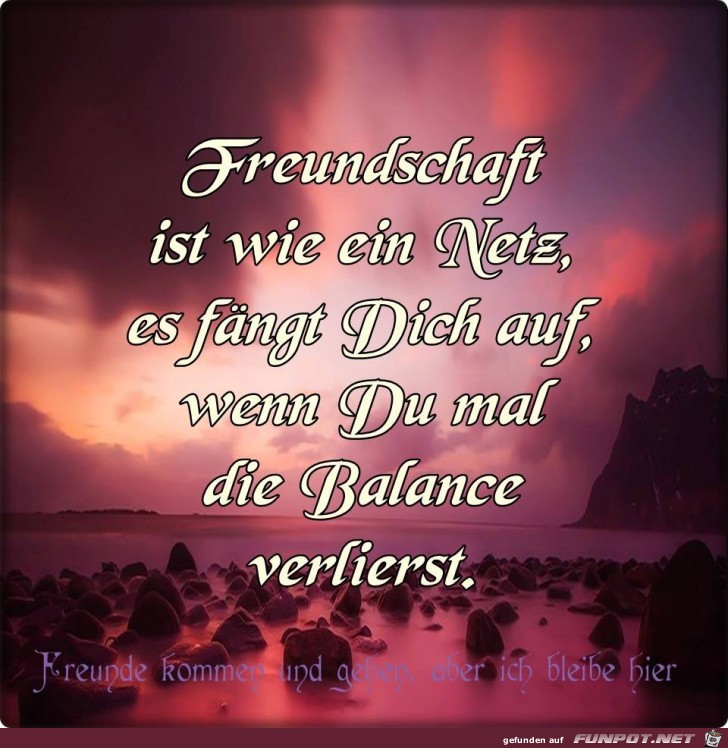 Freundschaft ist wie ein Netz