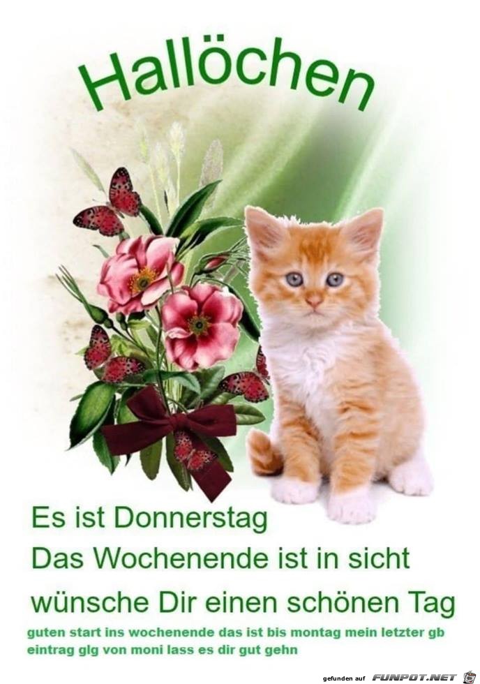 Halloechen Halloechen