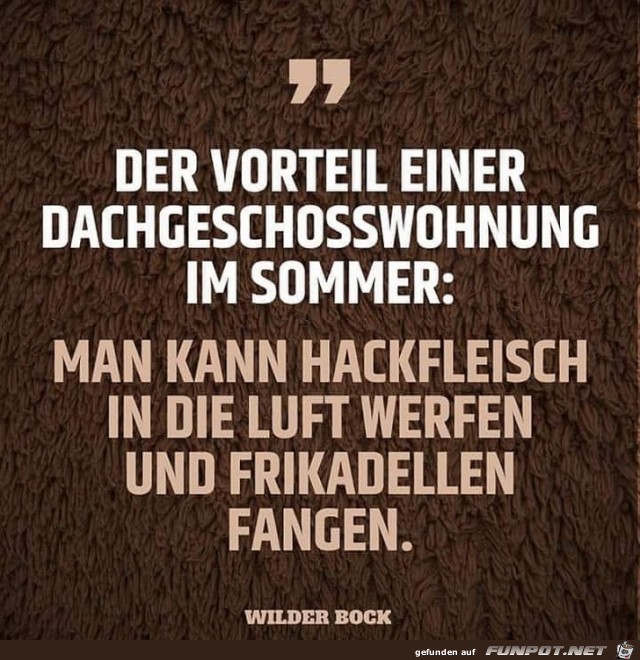 Der Vorteil einer Dachgeschoßwohnung... Der Vorteil einer Dachgeschoßwohnung...