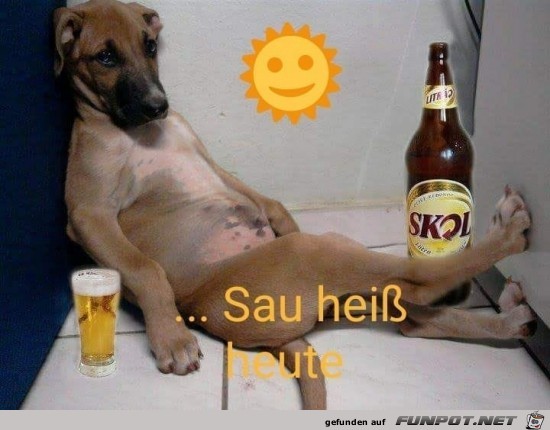 sau heiss..... sau heiss.....