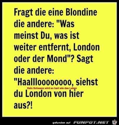 Fragt die eine Blondine die andere...