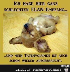 elan empfang elan empfang