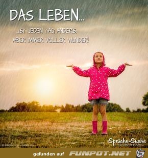 das Leben ist jeden Tag anders das Leben ist jeden Tag anders