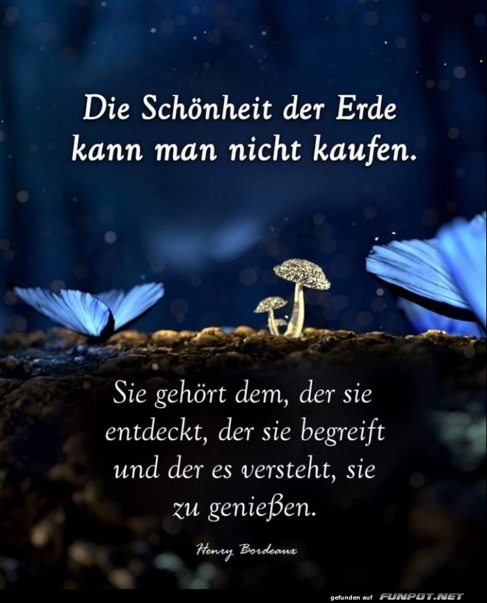 10 schne Sprche und Lebensweisheiten aus...