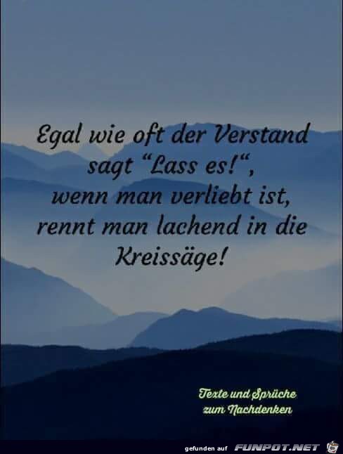 egal wie oft der Verstand egal wie oft der Verstand