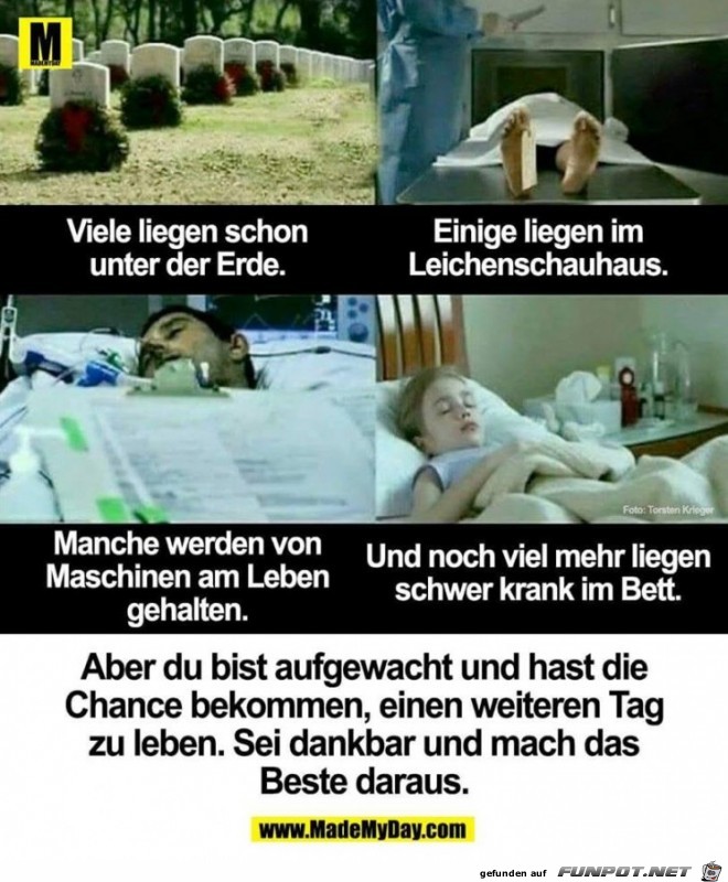 Sei Dankbar Sei Dankbar