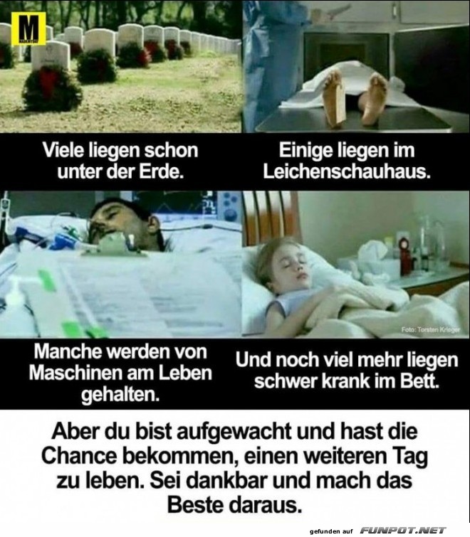 10 schne Sprche und Lebensweisheiten aus...