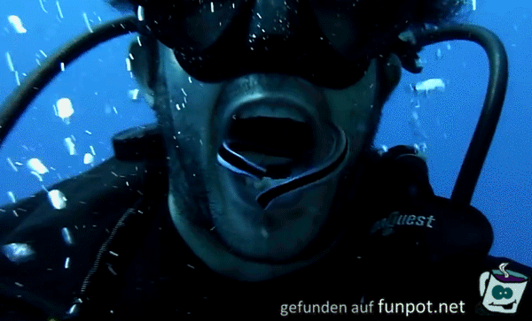 Zahnreinigung unter Wasser
