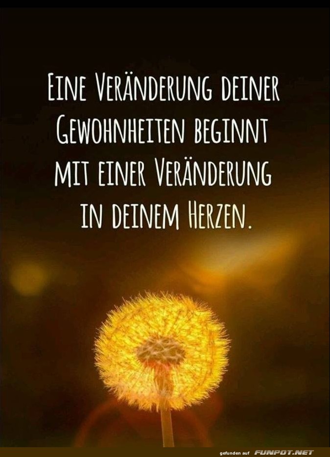 10 schne Sprche und Lebensweisheiten aus...