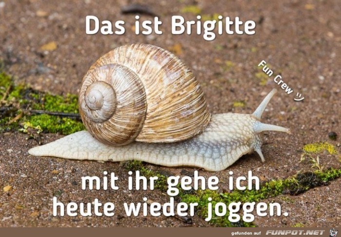 Darf ich vorstellen: Darf ich vorstellen: