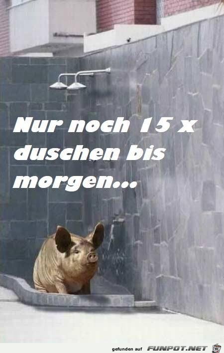 Duschen Duschen