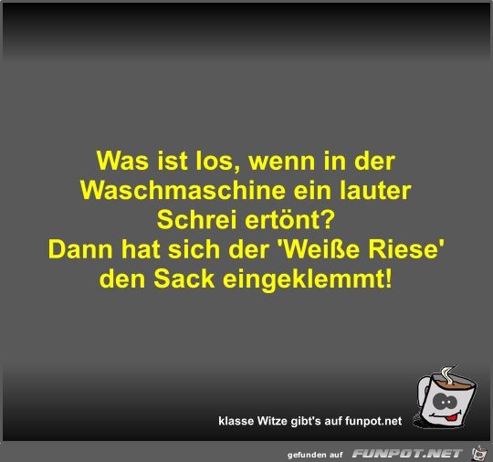 Was ist los, wenn in der Waschmaschine ein lauter Schrei... Was ist los, wenn in der Waschmaschine ein lauter Schrei...