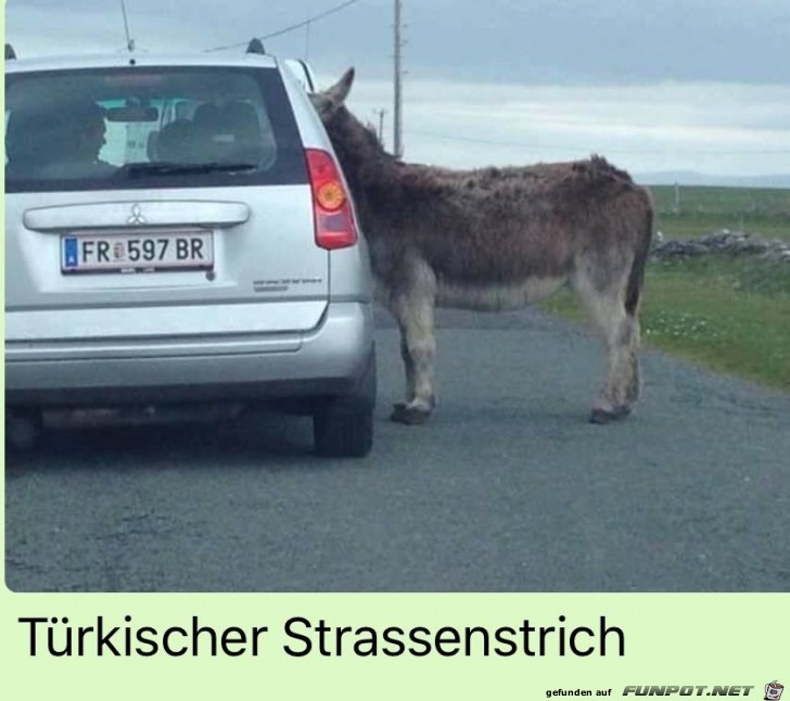 Auf der Straße Auf der Straße