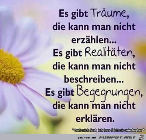 es gibt Traeume es gibt Traeume