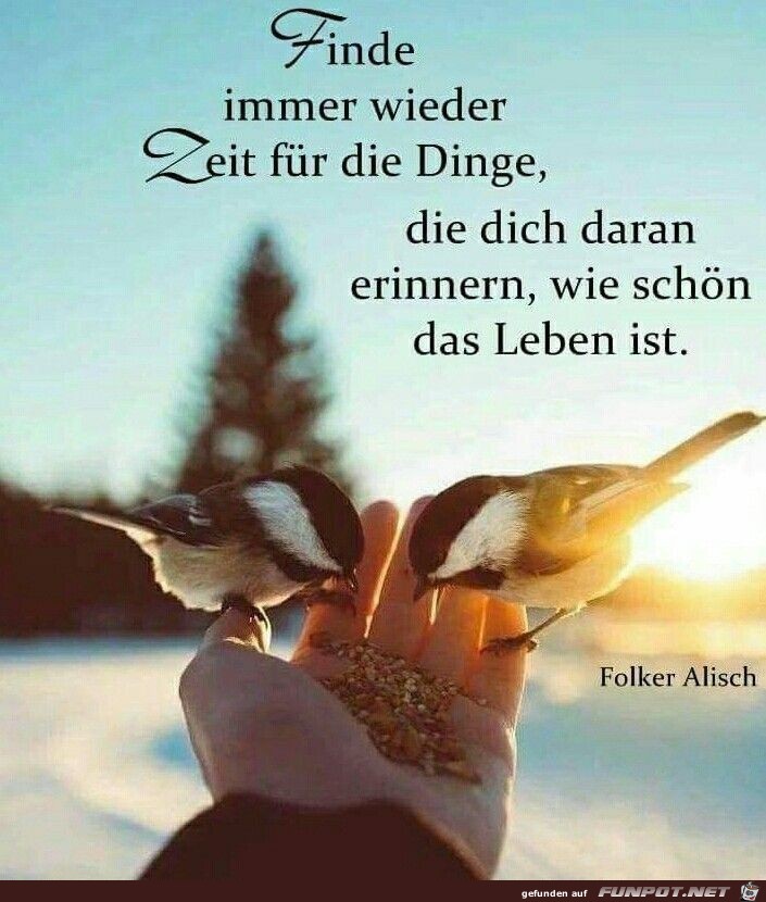 finde immer wieder Zeit finde immer wieder Zeit