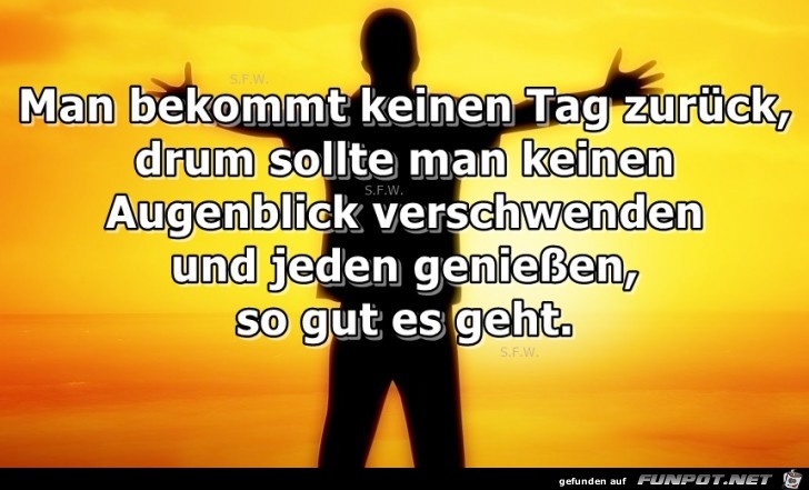 Man bekommt keinen Tag zurueck Man bekommt keinen Tag zurueck