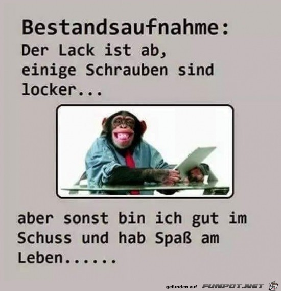 Bestandsaufnahme..... Bestandsaufnahme.....