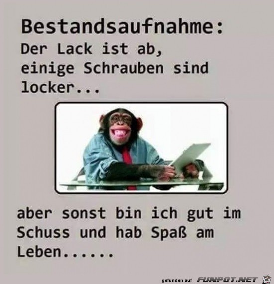 Bestandsaufnahme.....