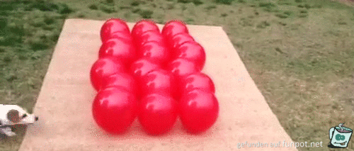Ballon-Spaß Ballon-Spaß