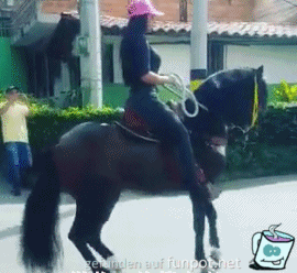 Pferd unter Kontrolle Pferd unter Kontrolle