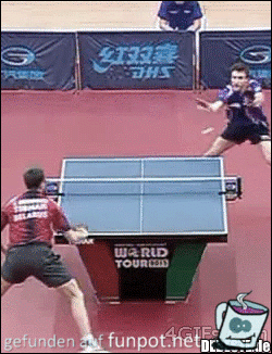Tischtennis in Perfektion Tischtennis in Perfektion