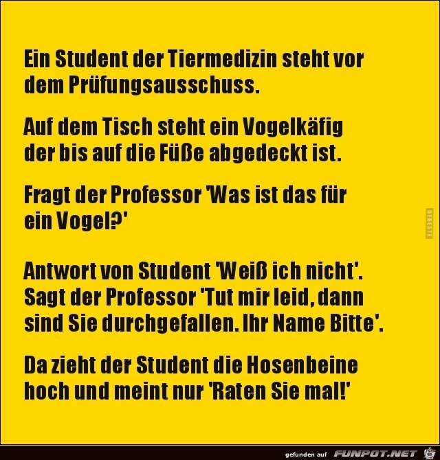 ein Student vor dem Prfungsausschuss....