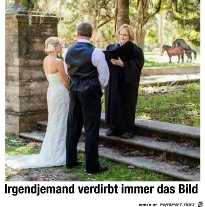 Bild zerstört Bild zerstört