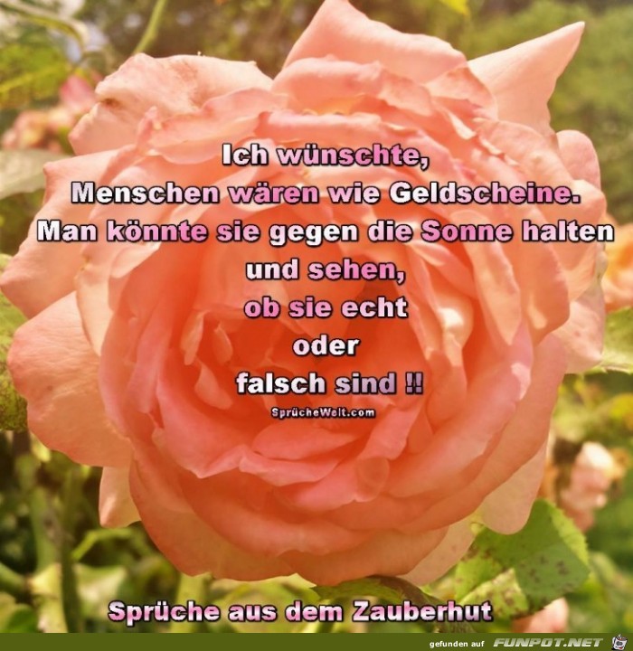 Ich wuenschte Ich wuenschte