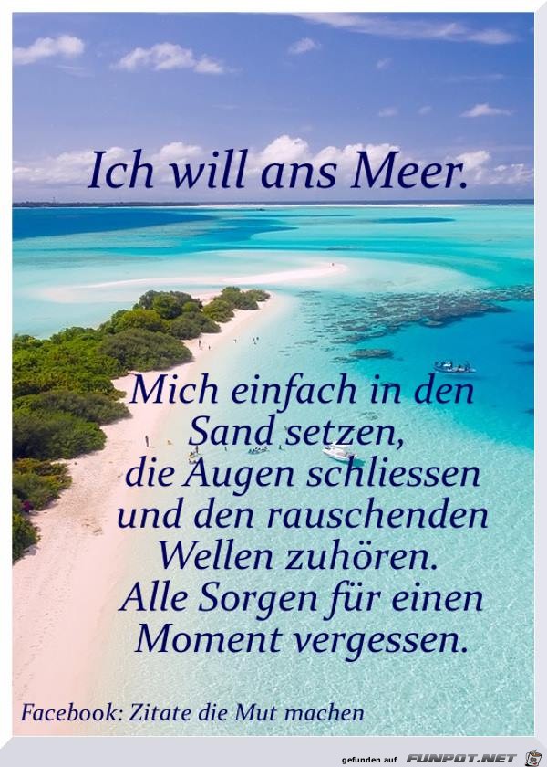 Will ans Meer